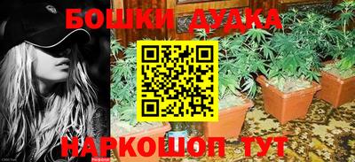 прущие грибы Жуковский