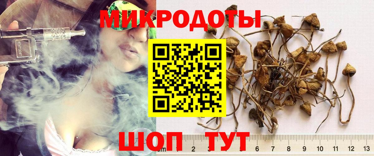Галлюциногенные грибы Psilocybe Миасс
