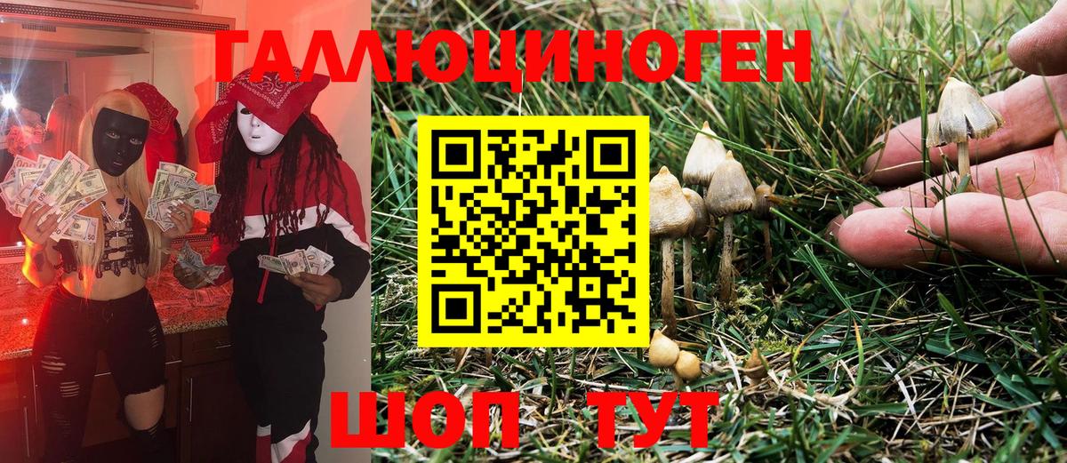 Псилоцибиновые грибы мицелий  Вход с VPN  Миасс  Галлюциногенные грибы Magic Shrooms 